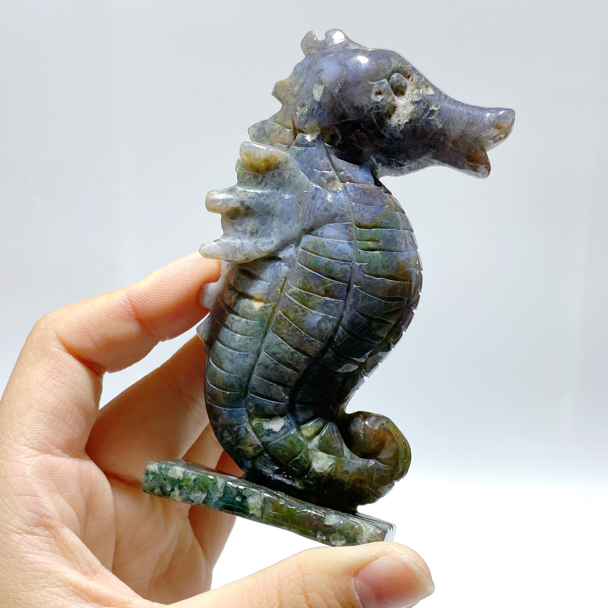 10 Pieces Moss Agate Seahorse Carving