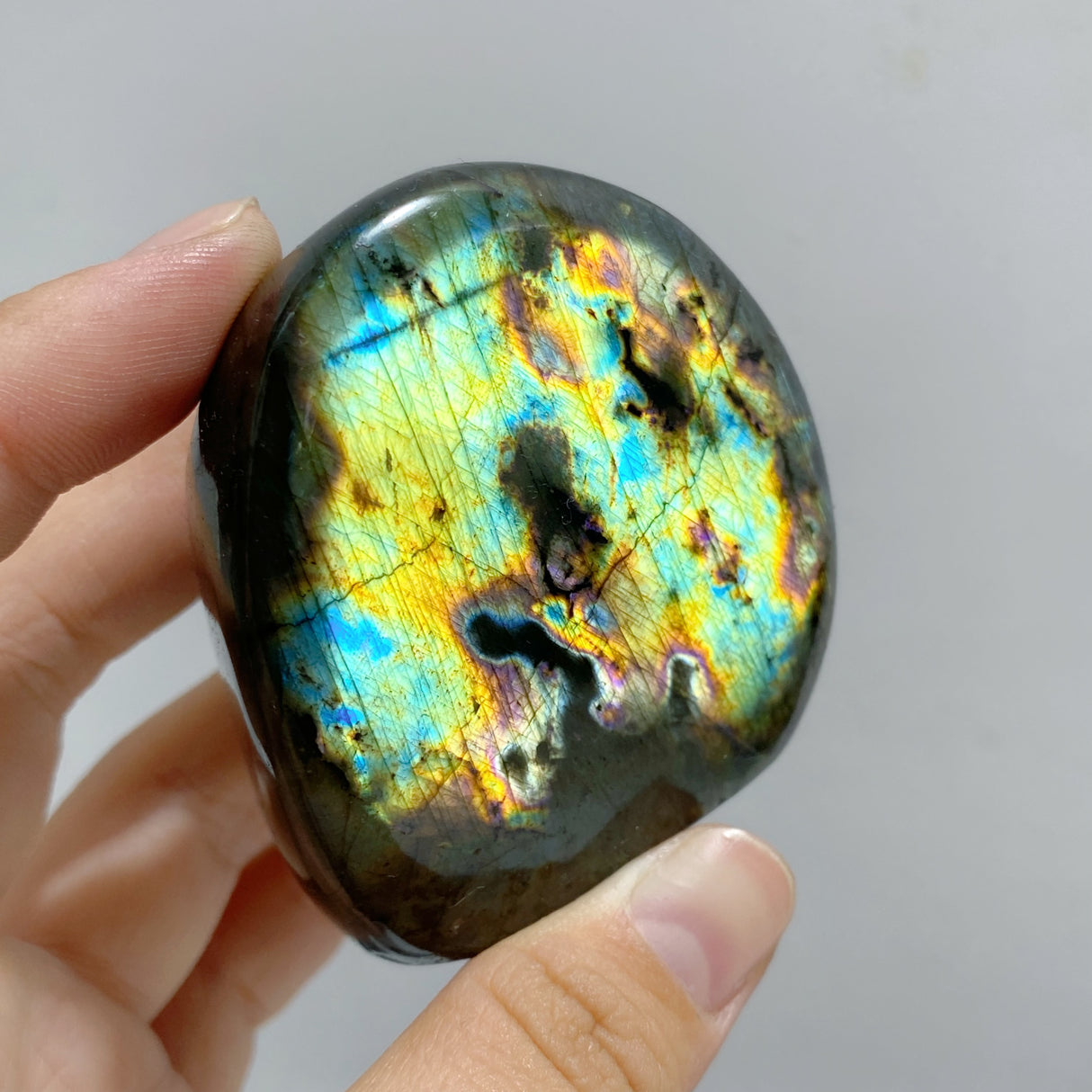 22 Pieces Polished Labradorite Free Form