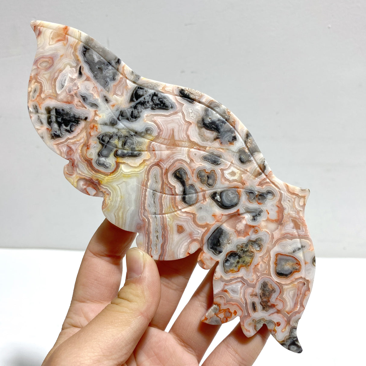 Unique Morocco Agate Butterfly Wing Carving With Stand