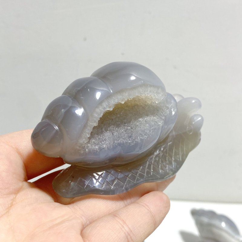 10 Pieces Geode Druzy Agate Snail Carving -Wholesale Crystals