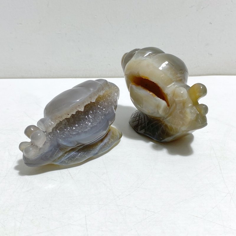 10 Pieces Geode Druzy Agate Snail Carving -Wholesale Crystals