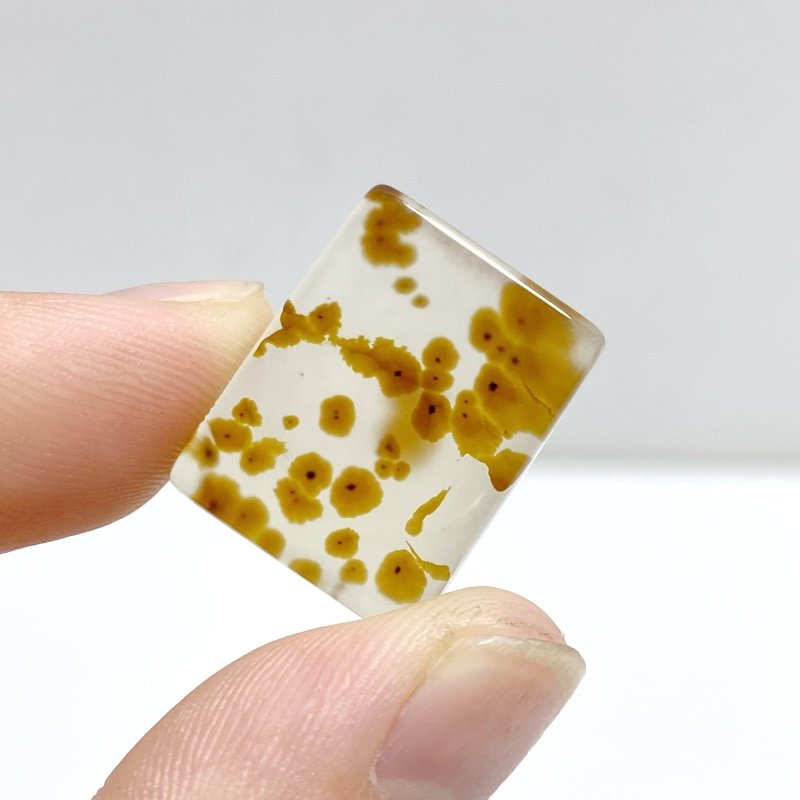 106 Pieces Natural Scenic Dendritic Agate Cabochon - Wholesale Crystals