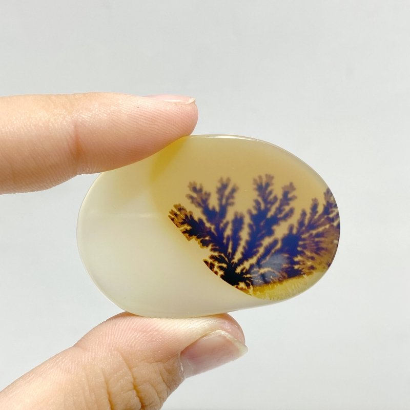 11 Pieces Natural Rare Scenic Dendritic Agate Stone - Wholesale Crystals
