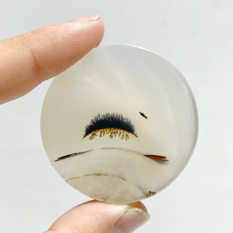 11 Pieces Natural Rare Scenic Dendritic Agate Stone - Wholesale Crystals