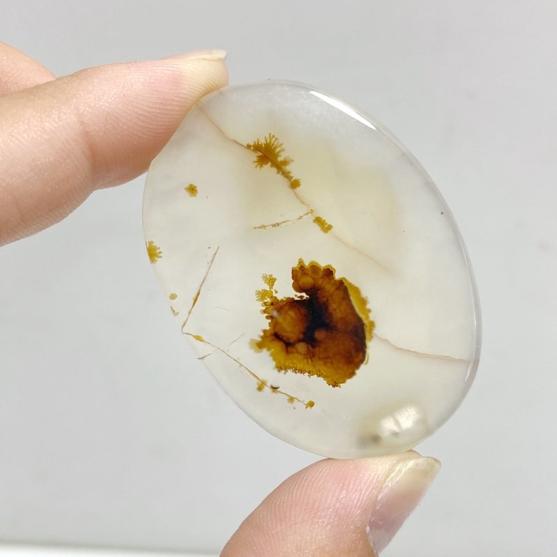 13 Pieces Natural Rare Scenic Dendritic Agate Stone -Wholesale Crystals
