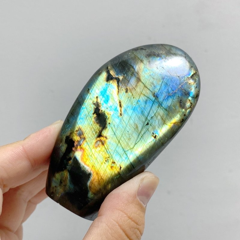 13 Pieces Polished Labradorite Free Form -Wholesale Crystals