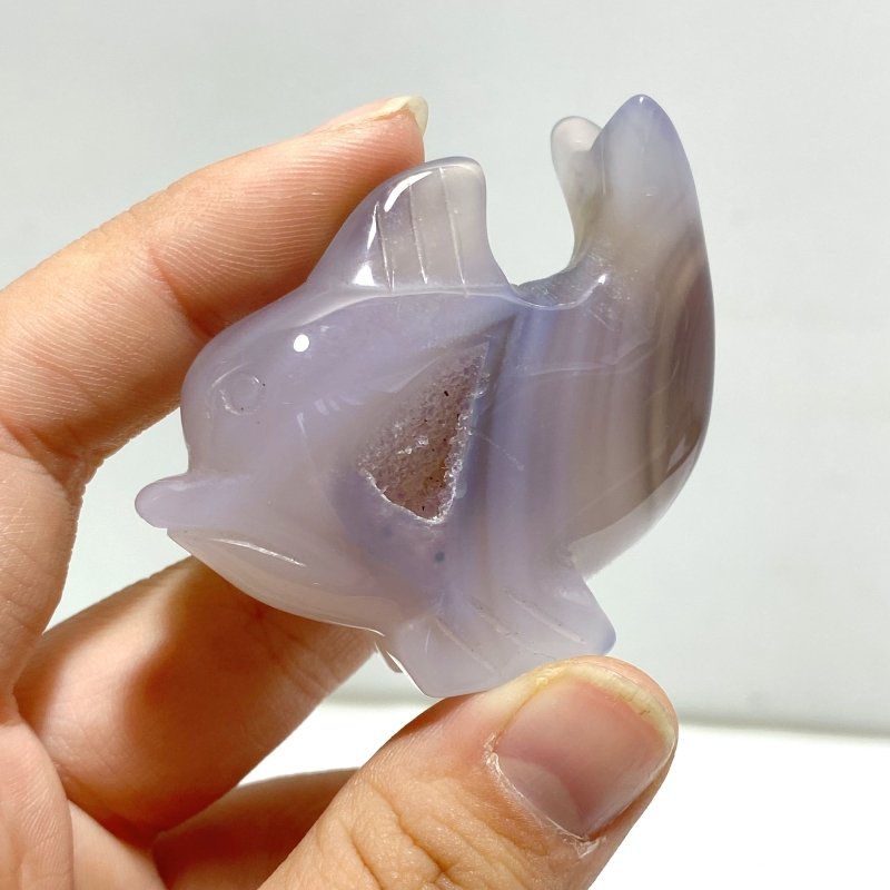 15 pieces Small Geode Agate Druzy Dolphin Carving - Wholesale Crystals