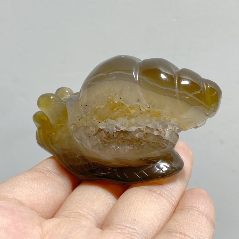 18 Pieces Geode Druzy Agate Snail Carving - Wholesale Crystals