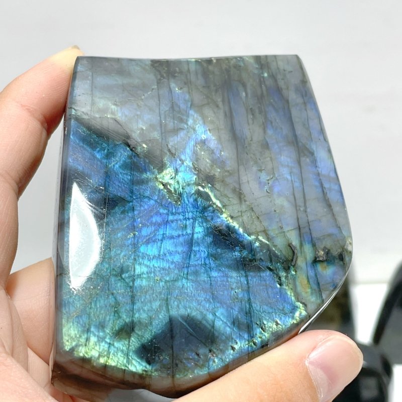 19 Pieces High Quality Polished Labradorite Free Form - Wholesale Crystals