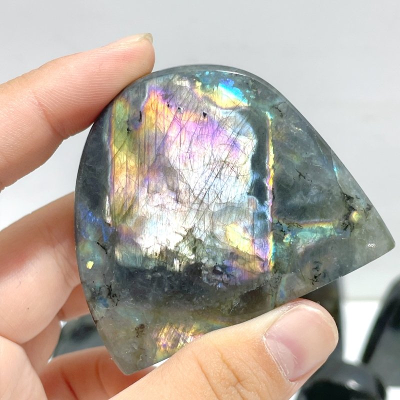 19 Pieces High Quality Polished Labradorite Free Form - Wholesale Crystals