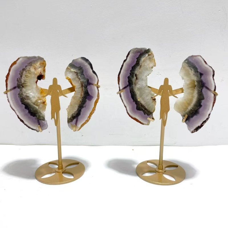 2 Pairs Fluorite Mixed Pyrite Angel Wing Carving With Stand - Wholesale Crystals