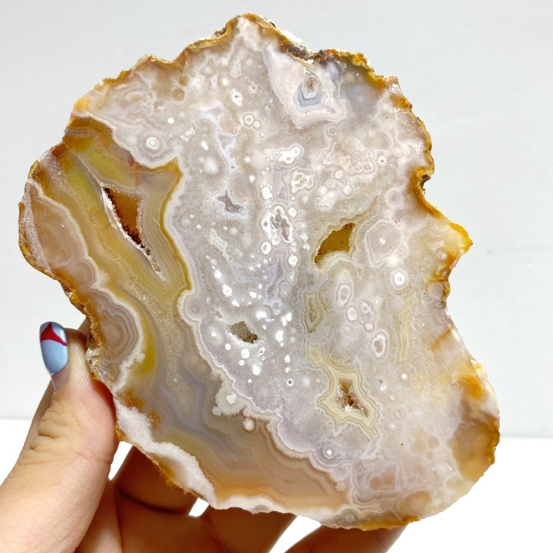 2 Pairs Geode Druzy Sakura Flower Agate Butterfly Wing With Stand - Wholesale Crystals