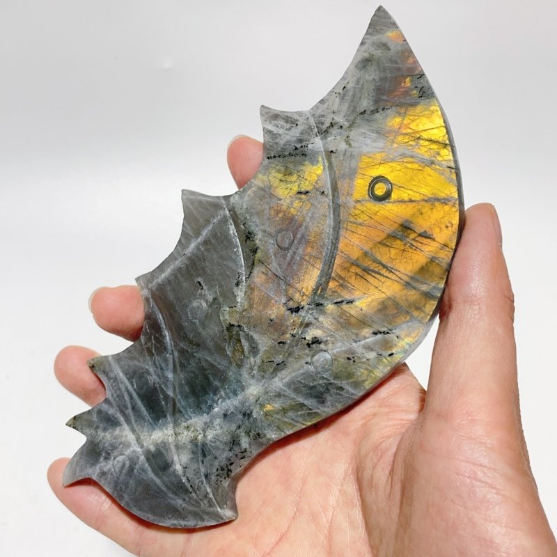 2 Pairs Labradorite Flying Dragon Wing With Stand -Wholesale Crystals