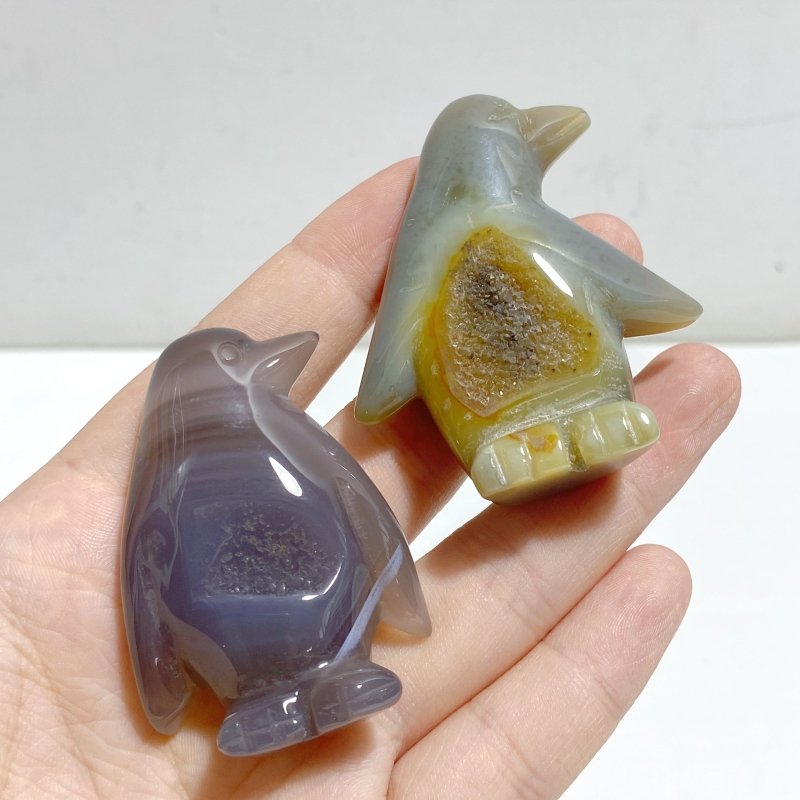20 Pieces Geode Druzy Agate Penguin Carving -Wholesale Crystals