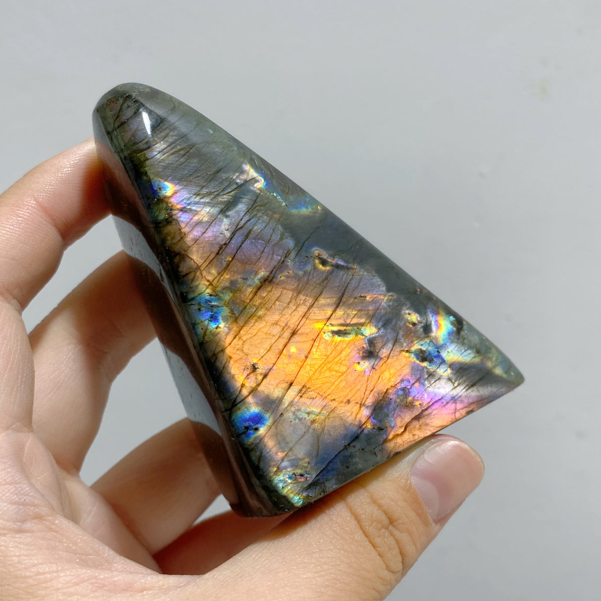 22 Pieces Polished Labradorite Free Form