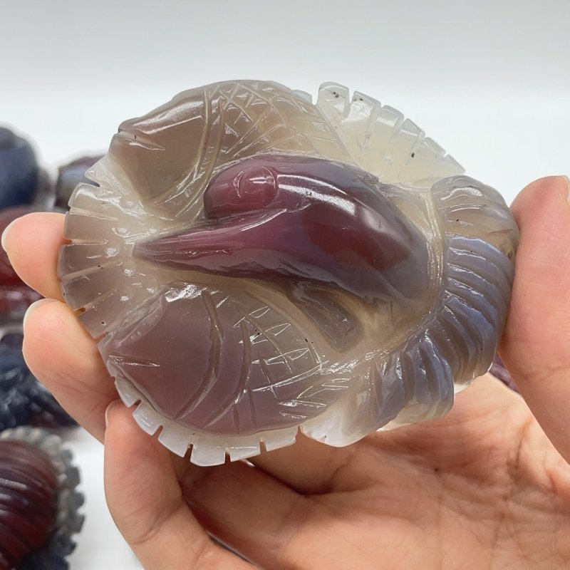 21 Pieces African Red Agate Sea Animals Carving -Wholesale Crystals