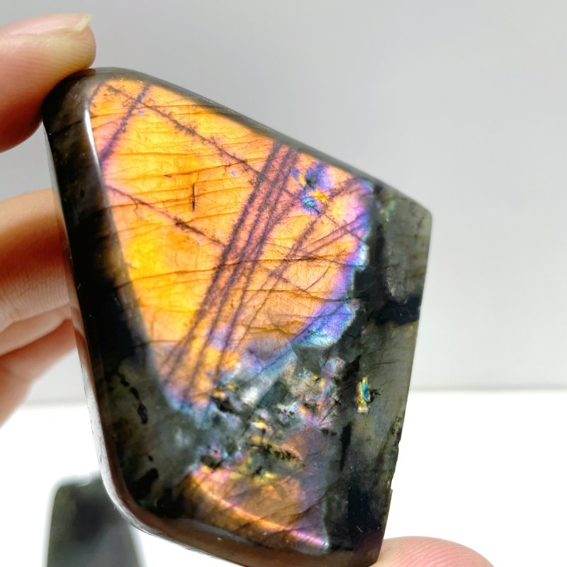 21 Pieces High Quality Labradorite Free Form - Wholesale Crystals