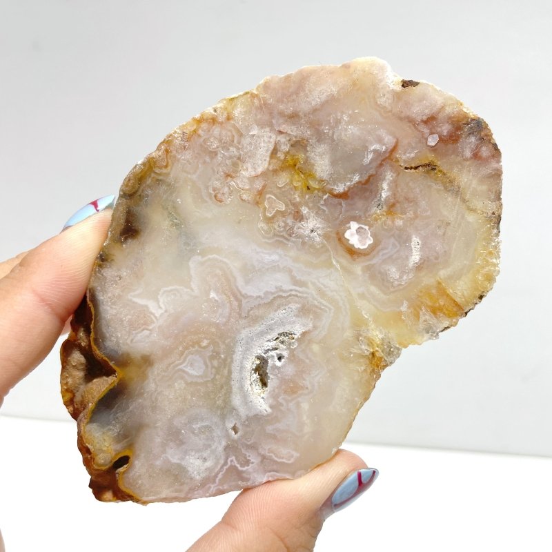 31 Pieces Beautiful Sakura Flower Agate Slab - Wholesale Crystals