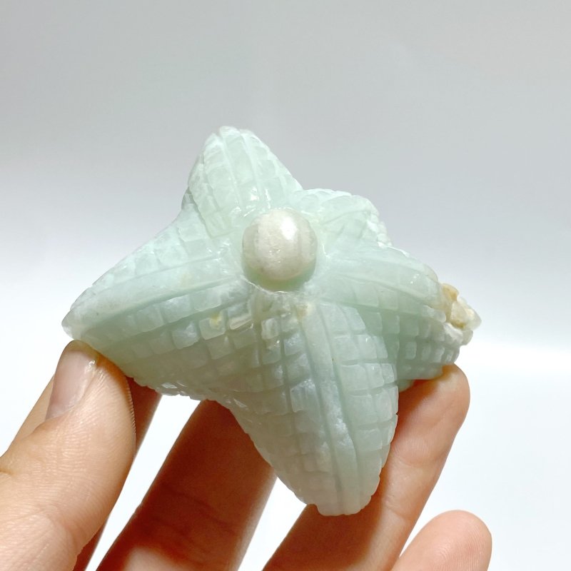 39 Pieces Caribbean Calcite Sea Animals Carving - Wholesale Crystals
