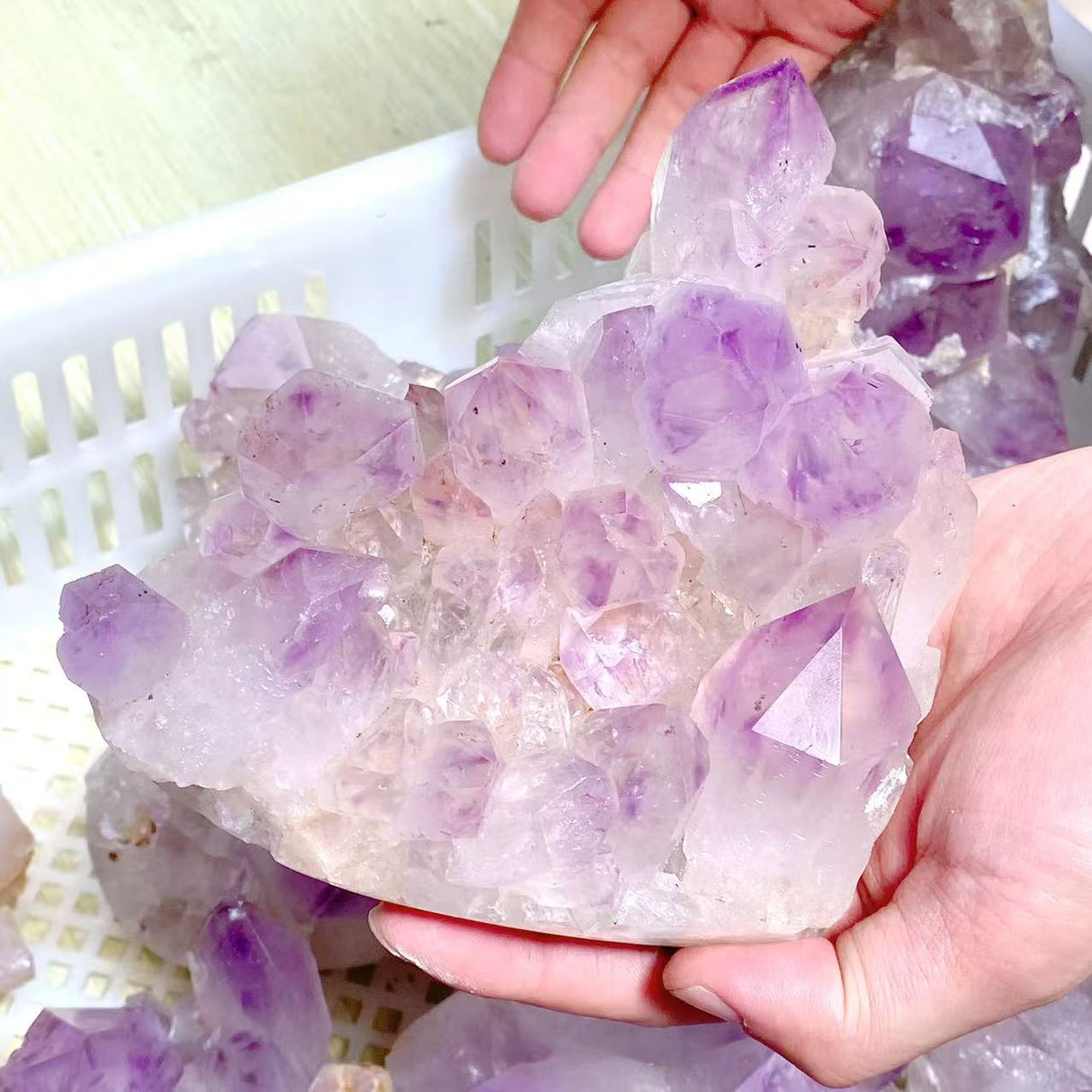 10 Pieces Raw Amethyst Cluster Polished Bottom (Sea Freight Only)