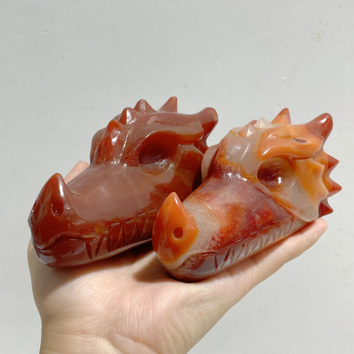7 Pieces Carnelian Dragon Head Carving