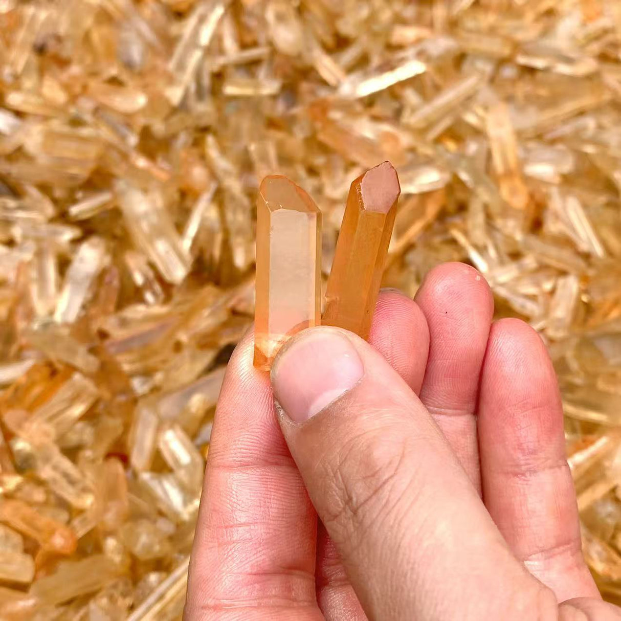 28KG Tangerine Quartz Mini Super Clear Quartz Point (Sea Freight Only)