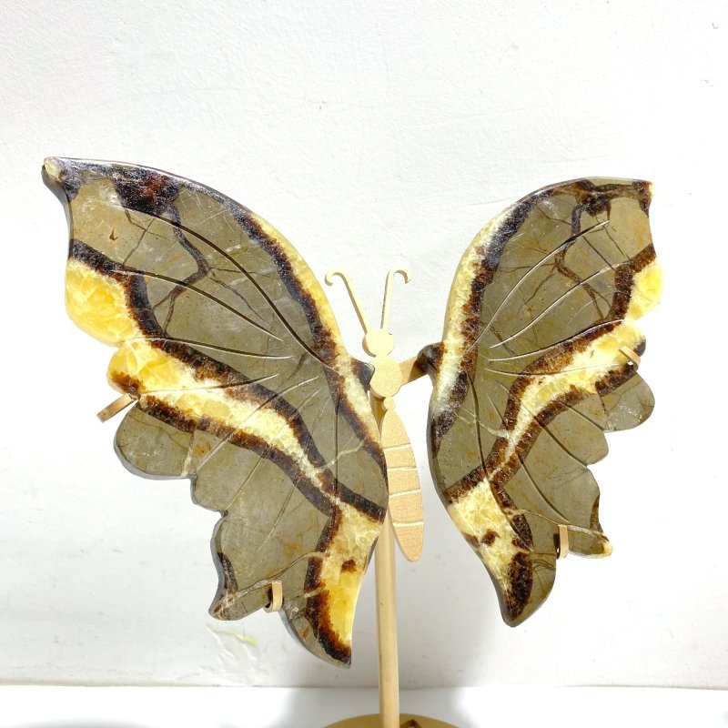 4 Pairs Septarian Butterfly Wing Carving With Stand 1 - Wholesale Crystals