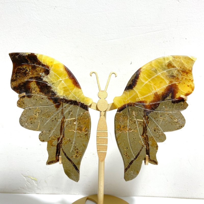 4 Pairs Septarian Butterfly Wing Carving With Stand 1 - Wholesale Crystals