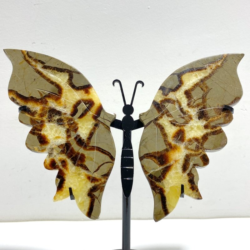 4 Pairs Septarian Butterfly Wing Carving With Stand 5 - Wholesale Crystals
