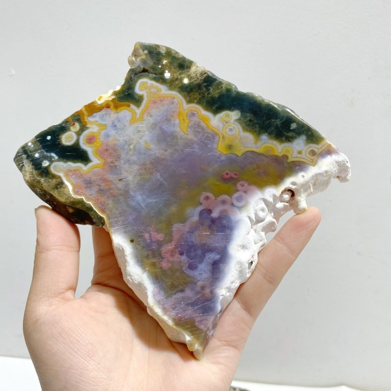 5 Pieces 8th Vein Ocean Jasper Slab -Wholesale Crystals