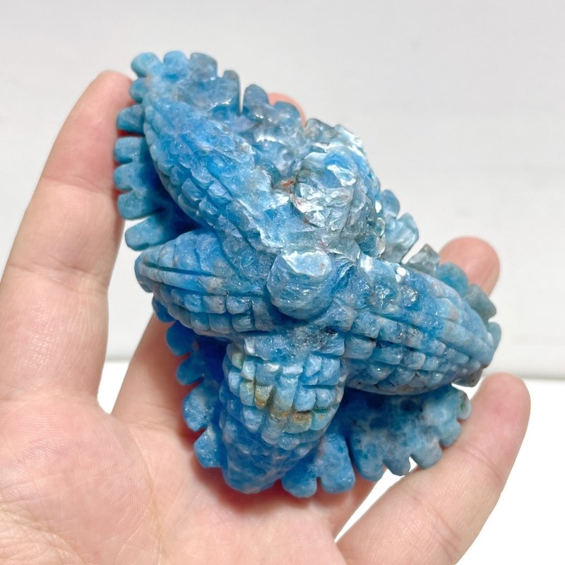 5 Pieces Apatite Sea Animals Carving - Wholesale Crystals