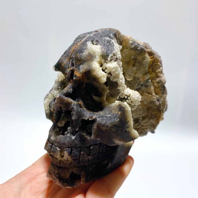 5 Pieces Purple Fluorite Skull Carving - Wholesale Crystals