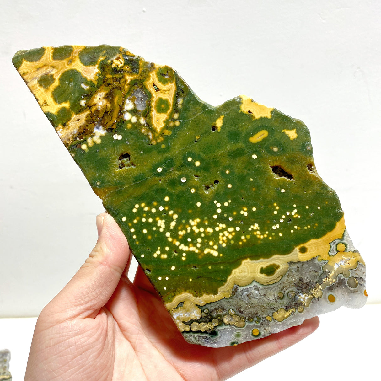 5 Pieces Large 8th Vein Ocean Jasper Slabs