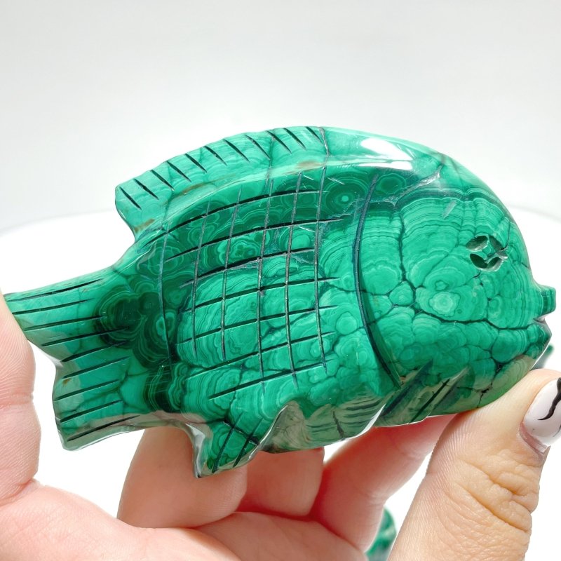 6 Pieces Malachite Sea Animals Carving - Wholesale Crystals