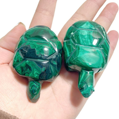 6 Pieces Malachite Sea Animals Carving - Wholesale Crystals