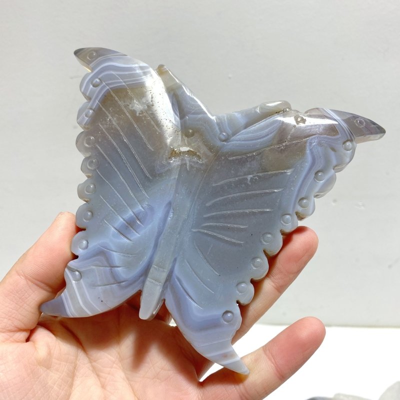 7 Pieces Geode Druzy Agate Butterfly Carving - Wholesale Crystals