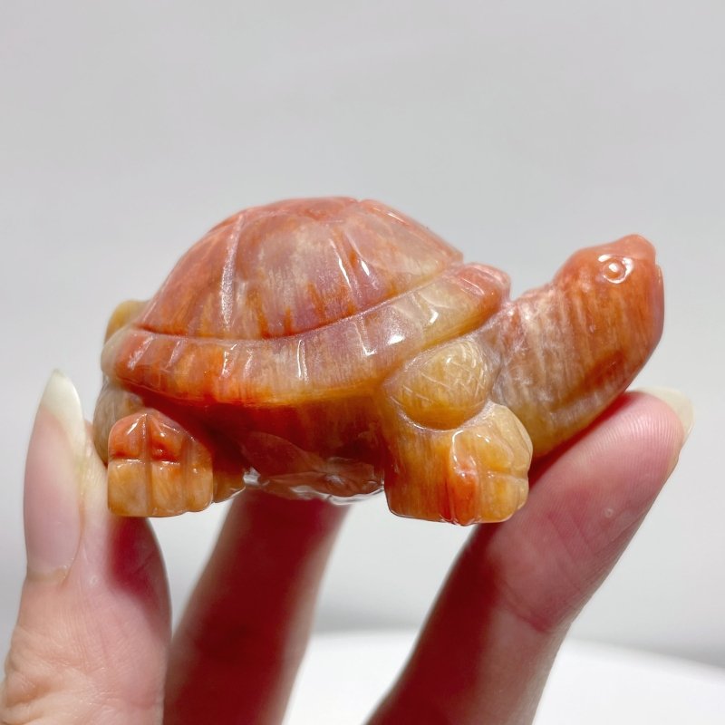 7 Pieces High Quality Coral Jade Turtle Carving #2 - Wholesale Crystals