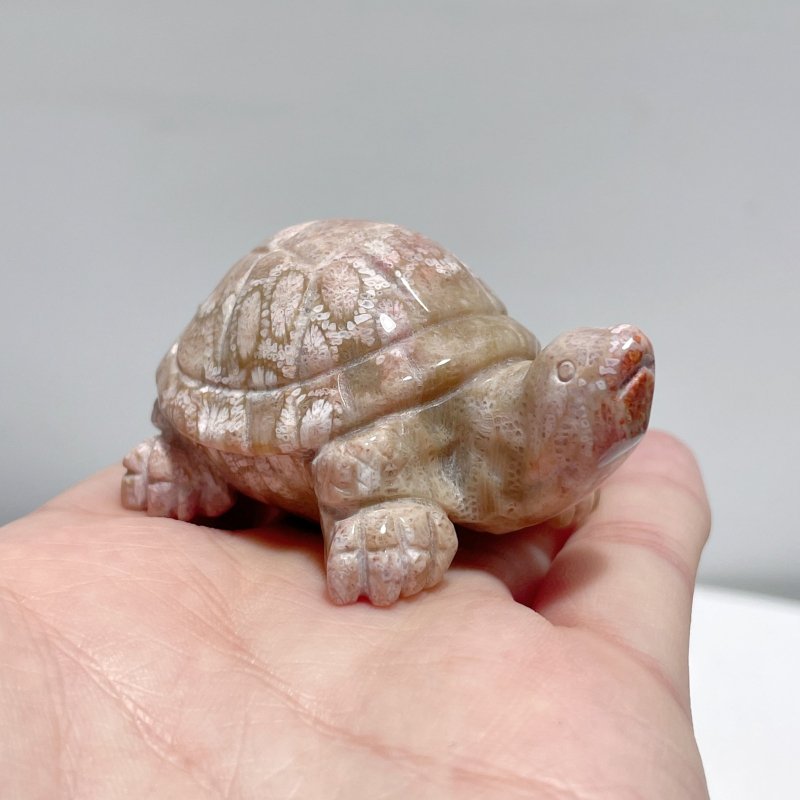 7 Pieces High Quality Coral Jade Turtle Carving #3 - Wholesale Crystals