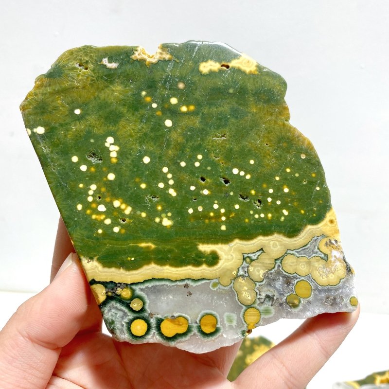 7 Pieces Large 8th Vein Ocean Jasper Slabs - Wholesale Crystals