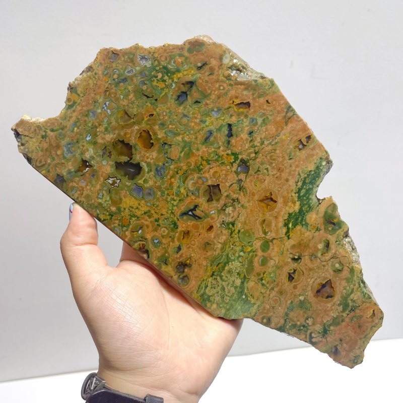 7 Pieces Peacock Eye Rain Forest Jasper Slab - Wholesale Crystals