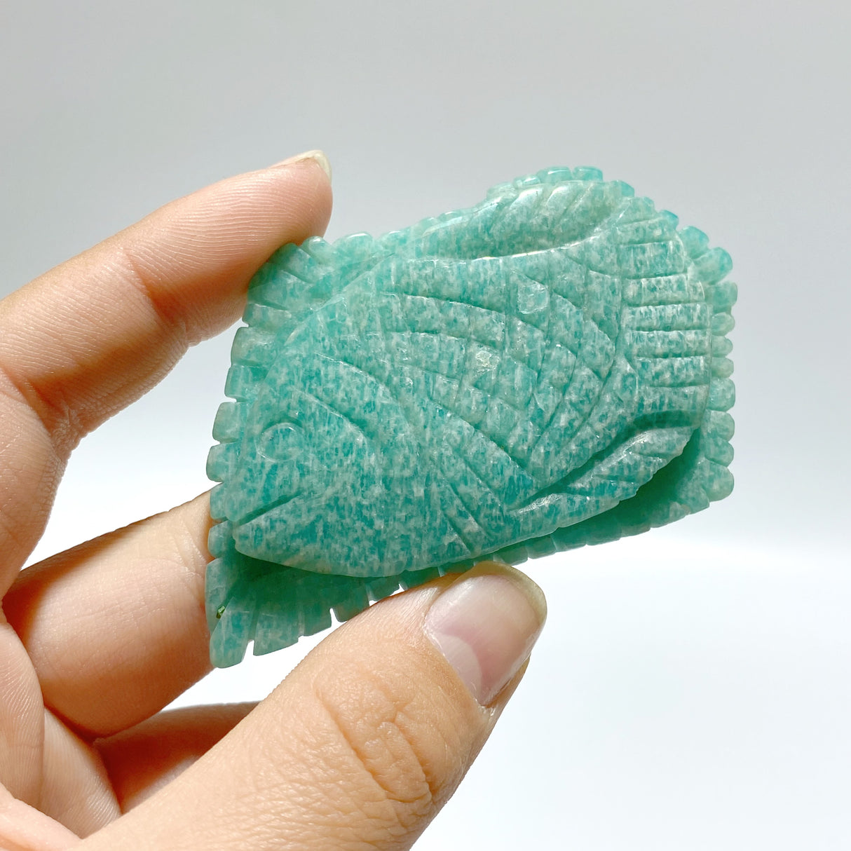 28 Pieces Amazonite Sea Animal Carving