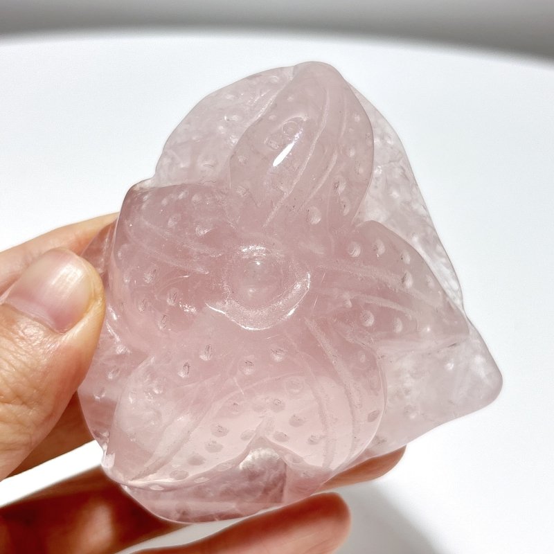 8 Pieces Beautiful Rose Quartz Sea Animals Carving - Wholesale Crystals