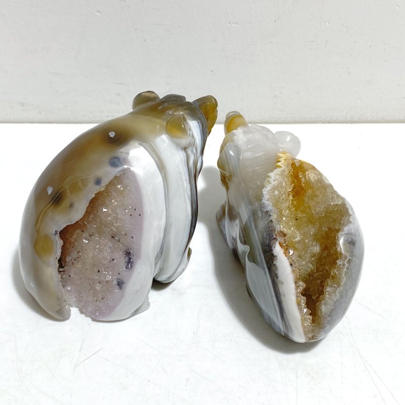 8 Pieces Geode Druzy Agate Bear Carving - Wholesale Crystals