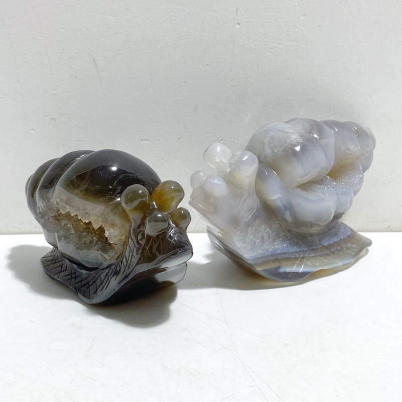 8 Pieces Geode Druzy Agate Snail Carving - Wholesale Crystals