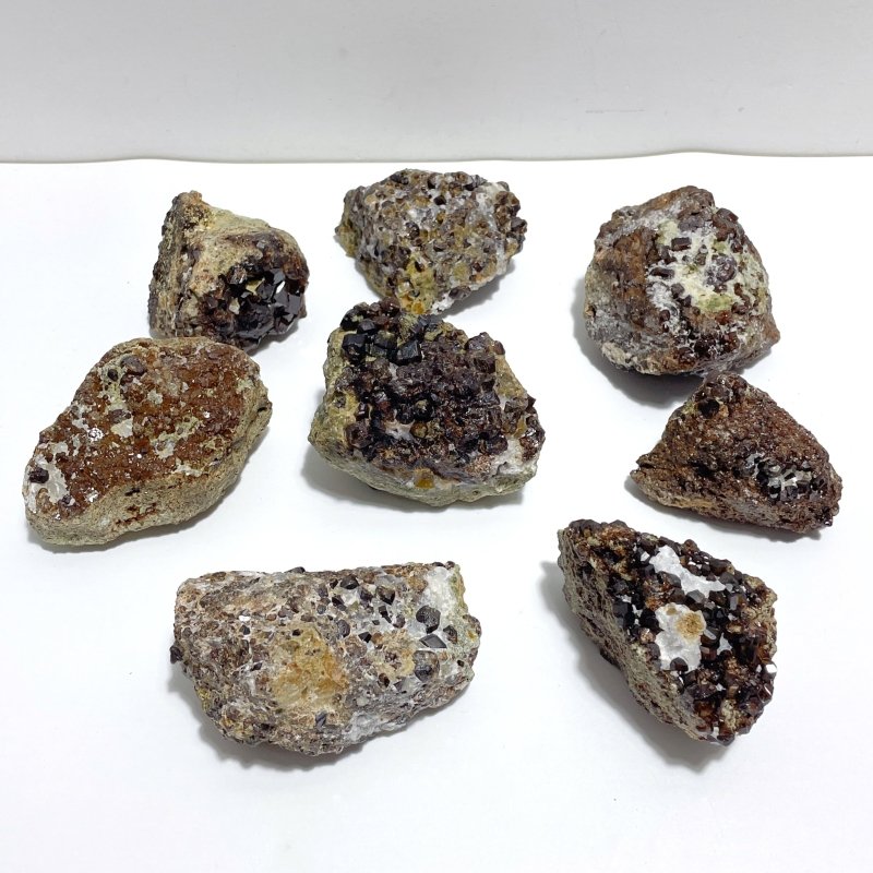 8 Pieces Raw Garnet Specimen 1 - Wholesale Crystals