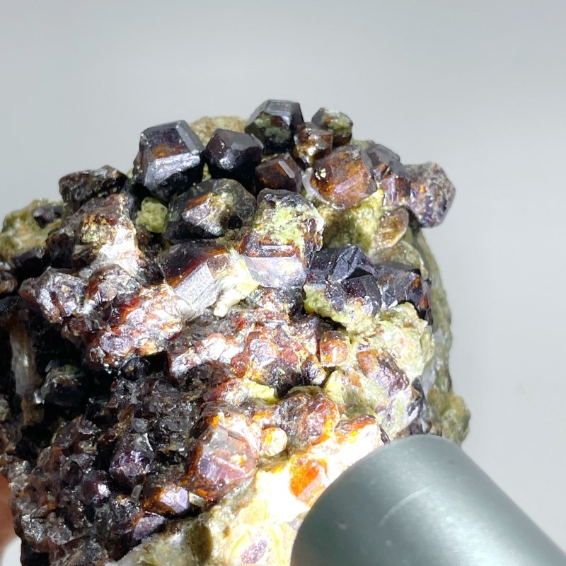 8 Pieces Raw Garnet Specimen 1 - Wholesale Crystals