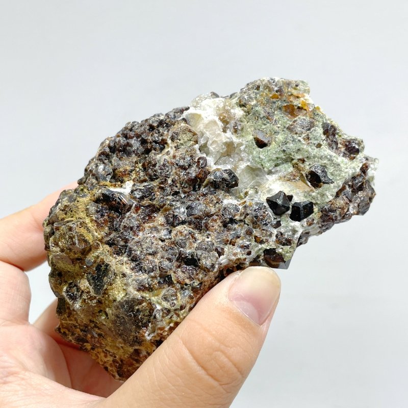 8 Pieces Raw Garnet Specimen 1 - Wholesale Crystals