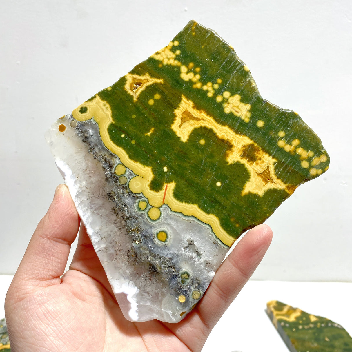 5 Pieces Large 8th Vein Ocean Jasper Slabs