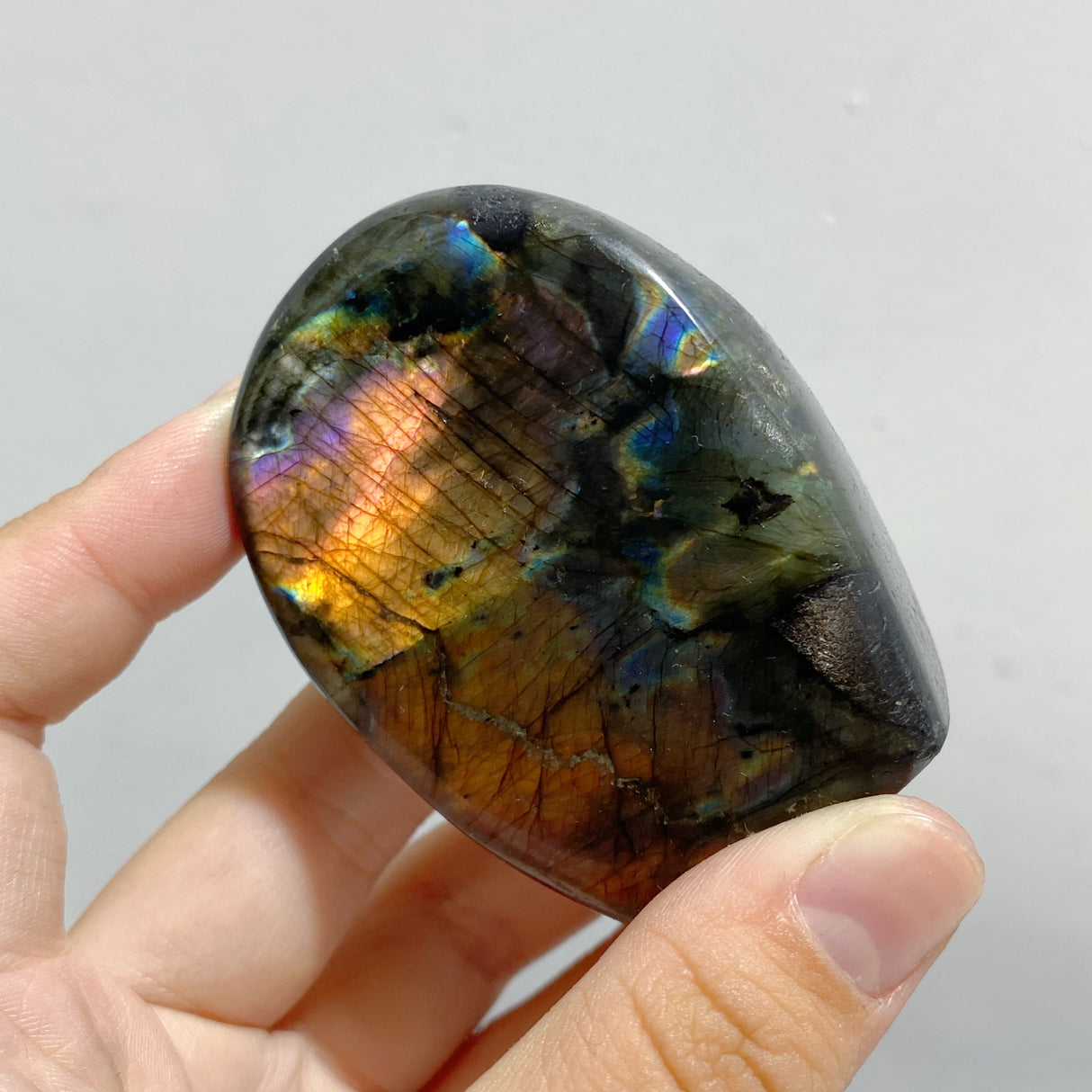 22 Pieces Polished Labradorite Free Form