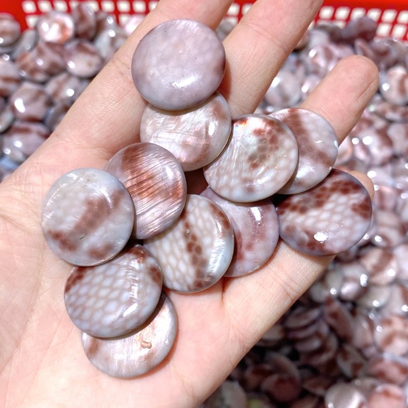 Aura Round Polished Shell Fossil Wholesale - Wholesale Crystals